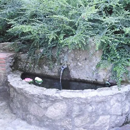 Sayuelo El Raso