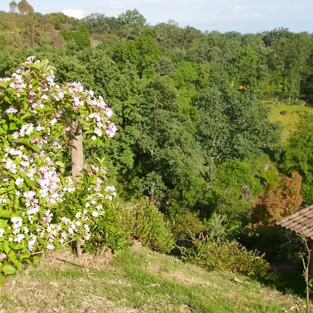 Sayuelo El Raso